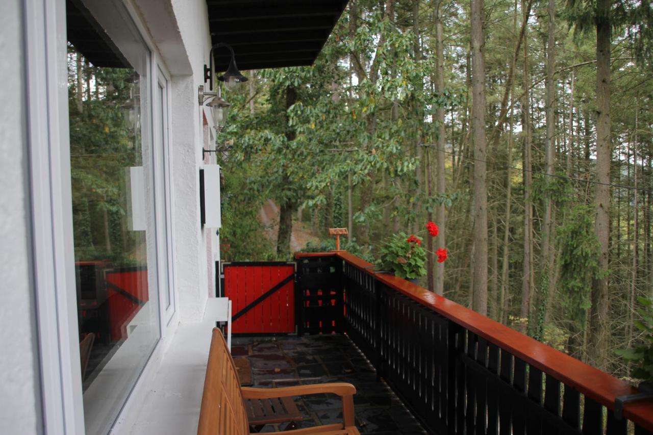 The Vianden Cottage - Charming Cottage In The Forest Exteriér fotografie