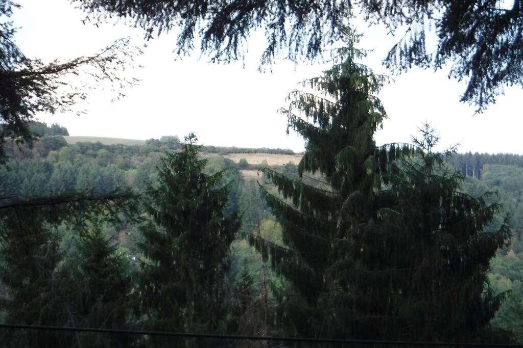 The Vianden Cottage - Charming Cottage In The Forest Exteriér fotografie
