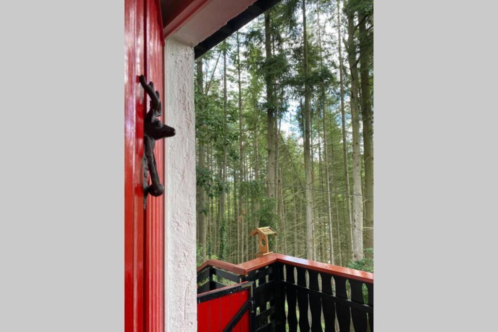 The Vianden Cottage - Charming Cottage In The Forest Exteriér fotografie